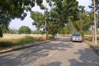 NSMEI0044P