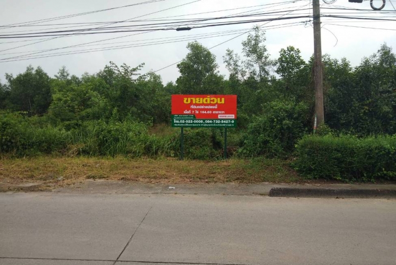 ที่ดินเปล่าแปลงย่อย ปลวกแดง ระยอง